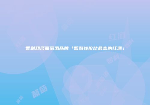 智利知名葡萄酒品牌「智利性价比最高的红酒」