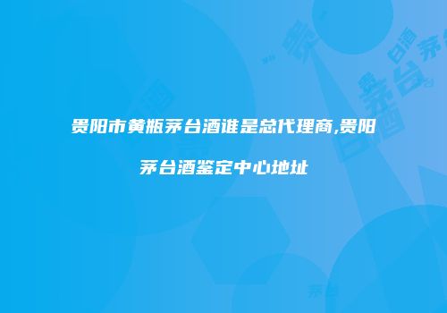 贵阳市黄瓶茅台酒谁是总代理商,贵阳茅台酒鉴定中心地址