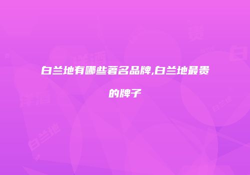 白兰地有哪些著名品牌,白兰地最贵的牌子