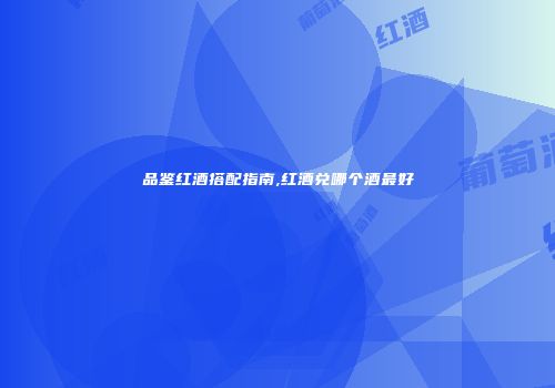 品鉴红酒搭配指南,红酒兑哪个酒最好