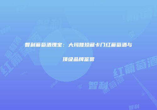 智利葡萄酒瑰宝：大玛雅珍藏卡门红葡萄酒与顶级品牌鉴赏