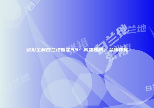 张裕金奖白兰地四星53：高端佳酿，品味非凡