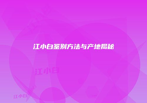 江小白鉴别方法与产地揭秘