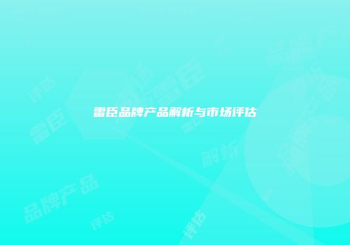 雷臣品牌产品解析与市场评估
