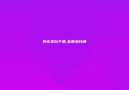 青花老白干酒,五粮液白酒