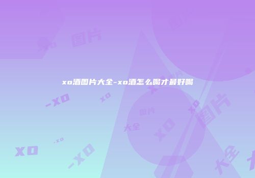 xo酒图片大全-xo酒怎么喝才最好喝