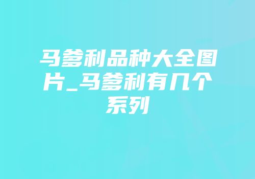 马爹利品种大全图片_马爹利有几个系列