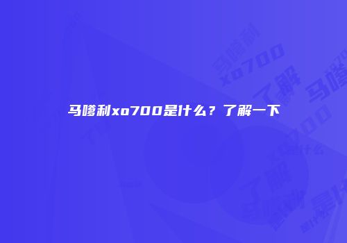 马嗲利xo700是什么？了解一下