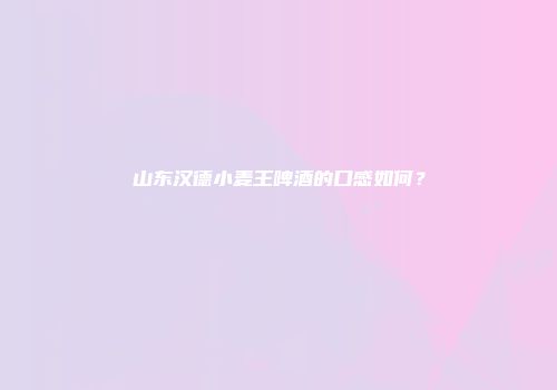 山东汉德小麦王啤酒的口感如何？