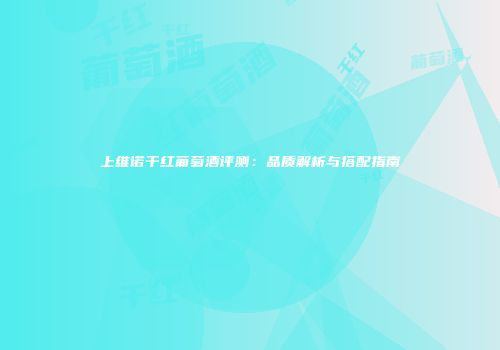 上维诺干红葡萄酒评测：品质解析与搭配指南