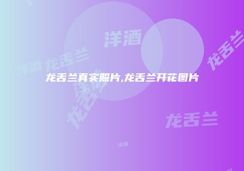龙舌兰真实照片,龙舌兰开花图片