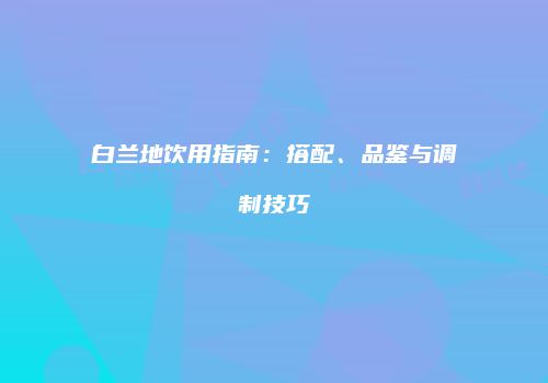白兰地饮用指南：搭配、品鉴与调制技巧