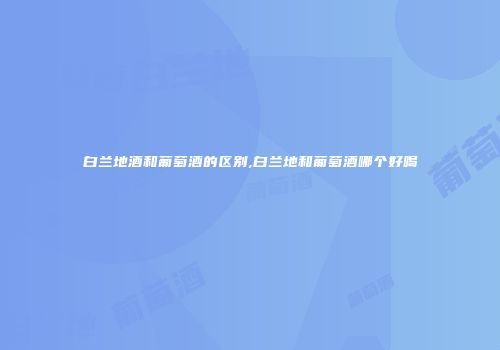 白兰地酒和葡萄酒的区别,白兰地和葡萄酒哪个好喝