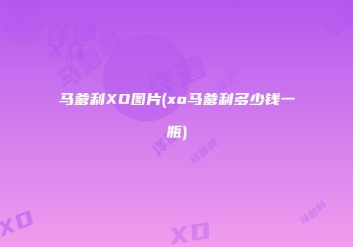 马爹利XO图片(xo马爹利多少钱一瓶)