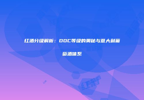 红酒分级解析：DOC等级的奥秘与意大利葡萄酒体系