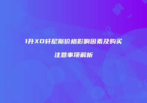 1升XO轩尼斯价格影响因素及购买注意事项解析