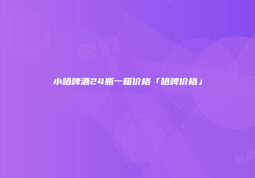 小哈啤酒24瓶一箱价格「哈啤价格」