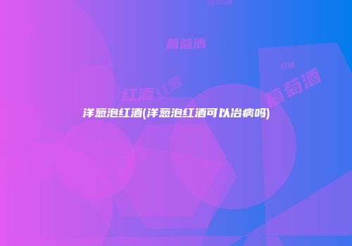 洋葱泡红酒(洋葱泡红酒可以冶病吗)