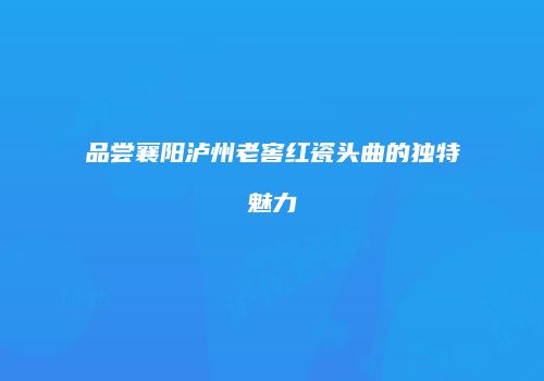 品尝襄阳泸州老窖红瓷头曲的独特魅力