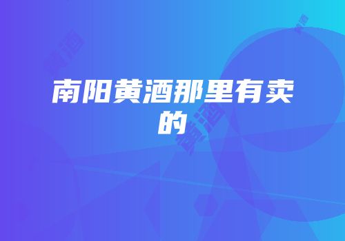 南阳黄酒那里有卖的