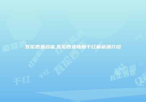 瓦伦西亚名宿,瓦伦西亚陈酿干红葡萄酒介绍