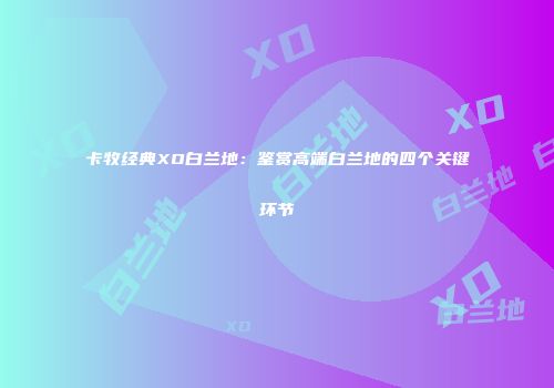 卡牧经典XO白兰地：鉴赏高端白兰地的四个关键环节