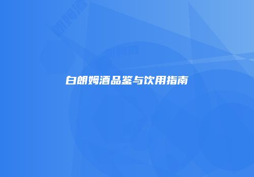 白朗姆酒品鉴与饮用指南