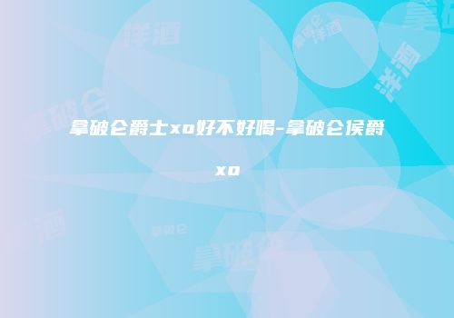 拿破仑爵士xo好不好喝-拿破仑侯爵xo