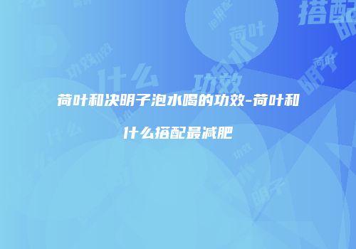 荷叶和决明子泡水喝的功效-荷叶和什么搭配最减肥