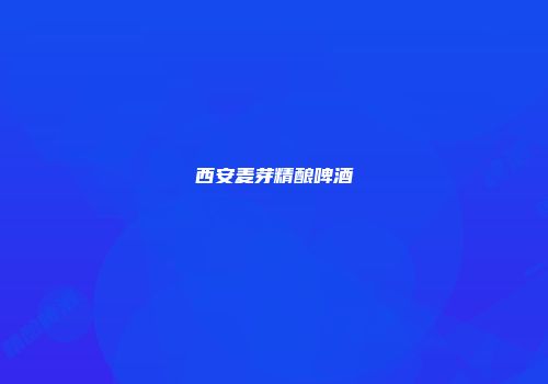 西安麦芽精酿啤酒