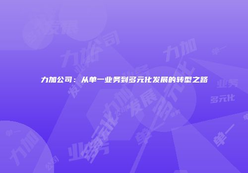 力加公司：从单一业务到多元化发展的转型之路
