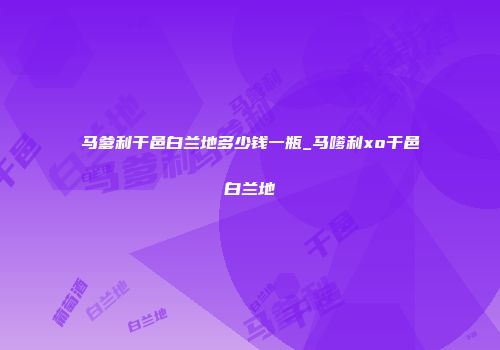 马爹利干邑白兰地多少钱一瓶_马嗲利xo干邑白兰地
