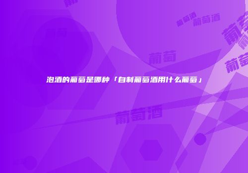 泡酒的葡萄是哪种「自制葡萄酒用什么葡萄」