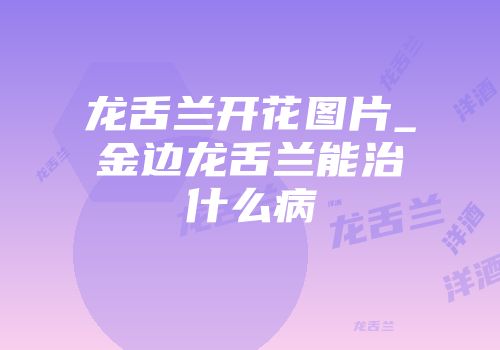 龙舌兰开花图片_金边龙舌兰能治什么病