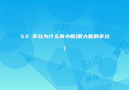53 茅台为什么有小瓶(很大瓶的茅台)