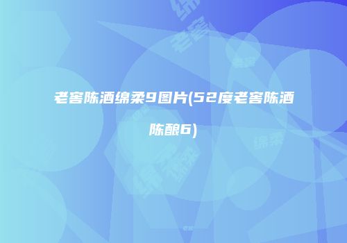 老窖陈酒绵柔9图片(52度老窖陈酒陈酿6)