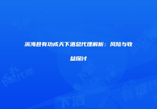 滨海县有功成天下酒总代理解析：风险与收益探讨