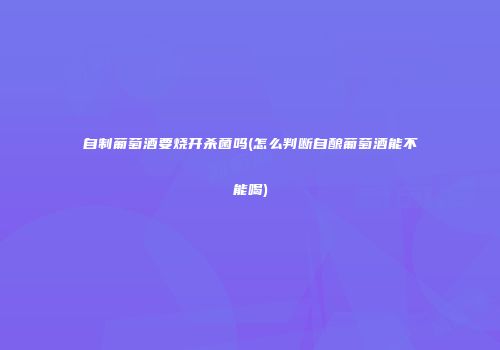 自制葡萄酒要烧开杀菌吗(怎么判断自酿葡萄酒能不能喝)