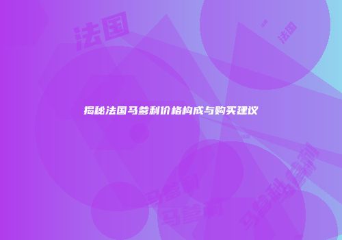 揭秘法国马爹利价格构成与购买建议