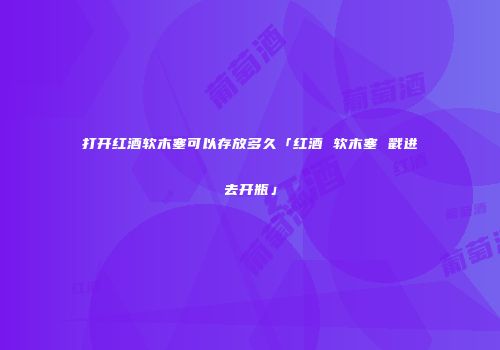 打开红酒软木塞可以存放多久「红酒 软木塞 戳进去开瓶」