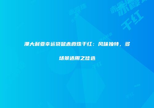 澳大利亚幸运袋鼠赤霞珠干红：风味独特，多场景适用之佳选