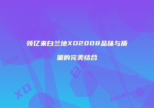 领亿来白兰地XO2008品味与质量的完美结合