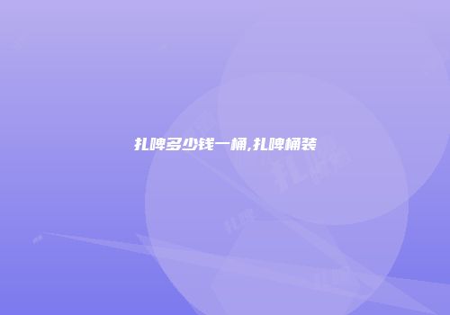 扎啤多少钱一桶,扎啤桶装