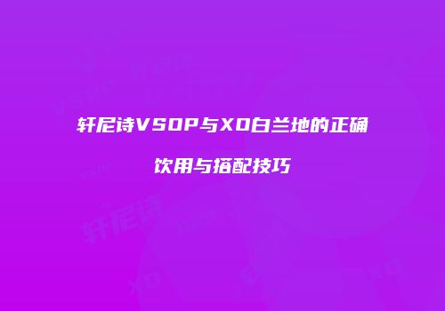 轩尼诗VSOP与XO白兰地的正确饮用与搭配技巧