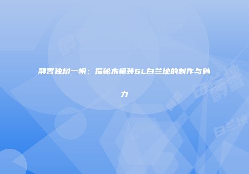 醇香独树一帜：揭秘木桶装6L白兰地的制作与魅力