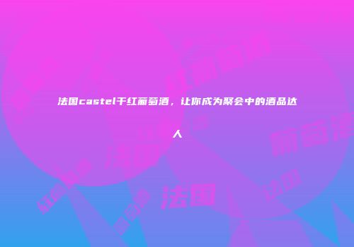 法国castel干红葡萄酒，让你成为聚会中的酒品达人
