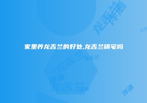 家里养龙舌兰的好处,龙舌兰镇宅吗