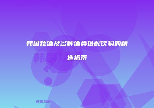 韩国烧酒及多种酒类搭配饮料的精选指南