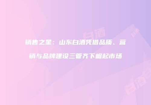 销售之星：山东白酒凭借品质、营销与品牌建设三管齐下崛起市场