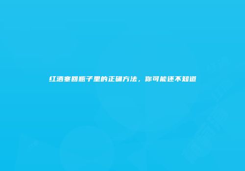 红酒塞回瓶子里的正确方法，你可能还不知道